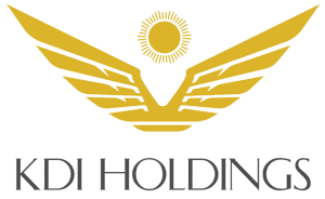 KDI HOLDING